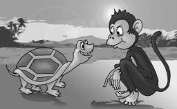 ​The Monkey And The Turtle