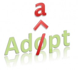 Adapt  Adopt Adept