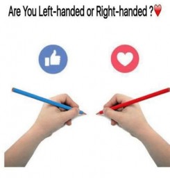 Are You Left-Handed? Multiple Choice Vocabulary Test